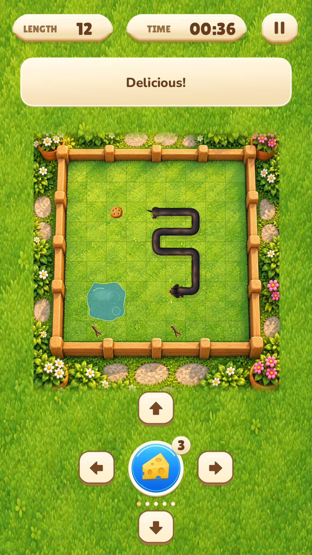 Appa at length twelve beside a puddle and sticks, with the arrow controls centered around the cheese button.